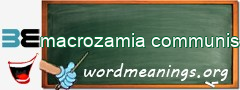 WordMeaning blackboard for macrozamia communis
